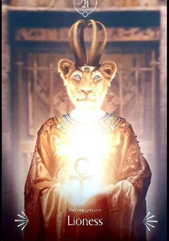 Divine Animals Oracle